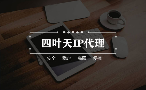 【新乡代理IP】如何快速搭建代理IP？怎么检查代理的效果？